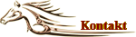Kontakt